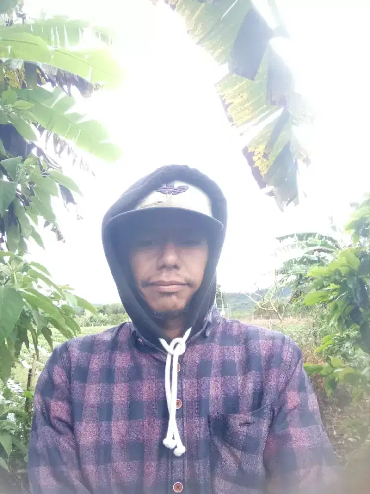 Assalamualaikum Saya seorang tunarungu cari kerja