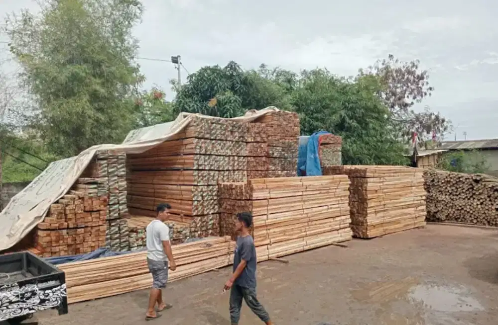 Jual bambu steger cor panjang 6 meter