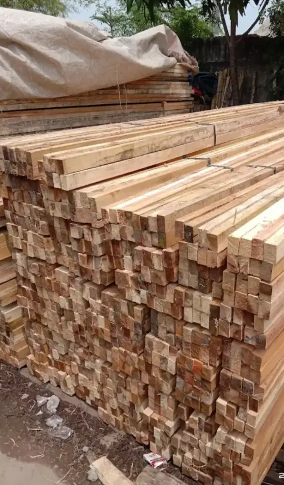 Jual bambu steger panjang 6 meter