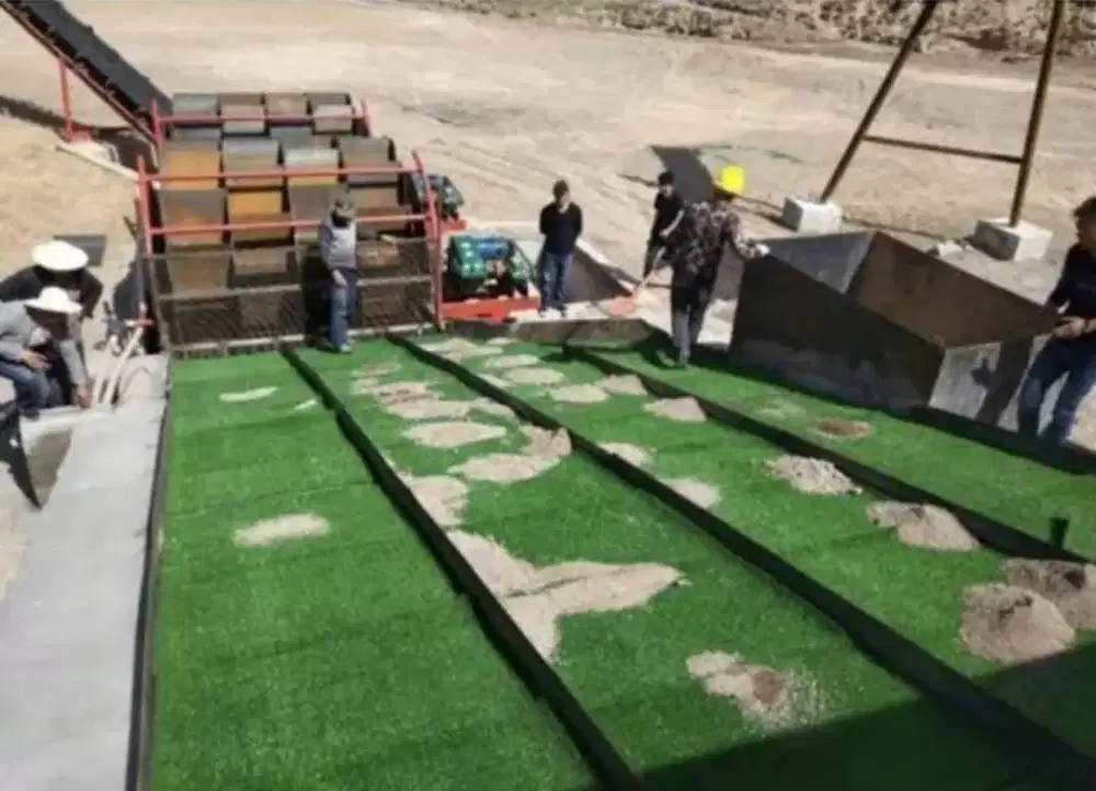 Karpet rumput untuk tambang emas