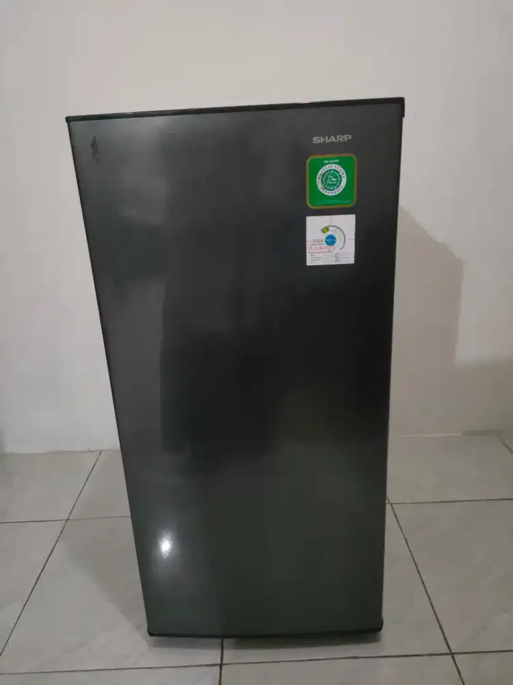 Sharp SJ-N182N-HS Kulkas 1 Pintu 166L Large Freezer