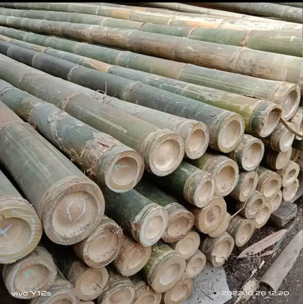 Jual bambu steger cor 6 m
