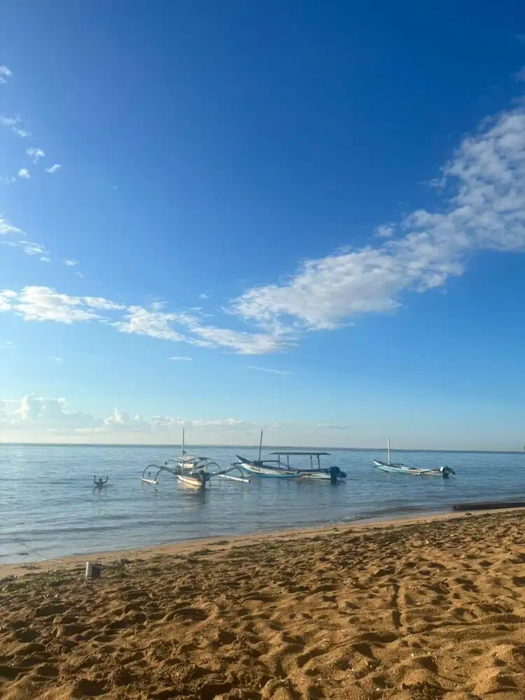 Dibutuhkan art tinggal dalam