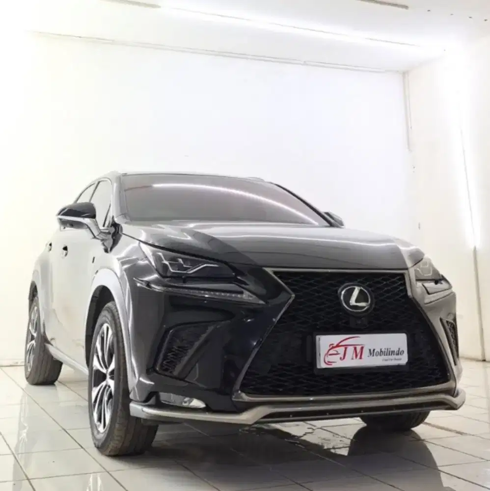 Lexus NX300 2018