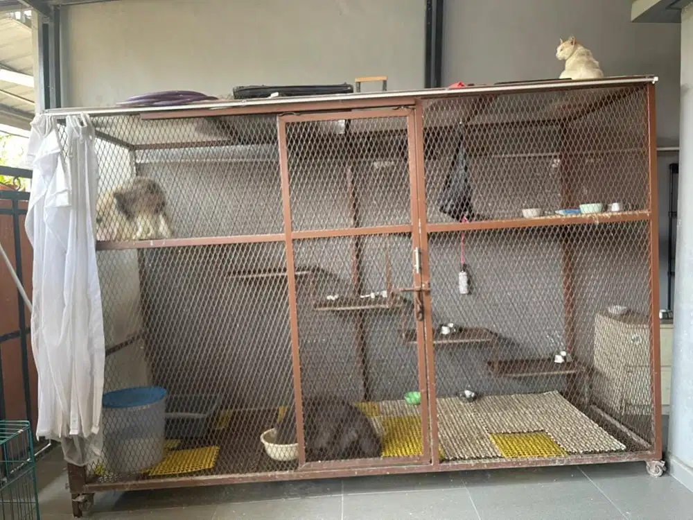 Di jual kandang kucing