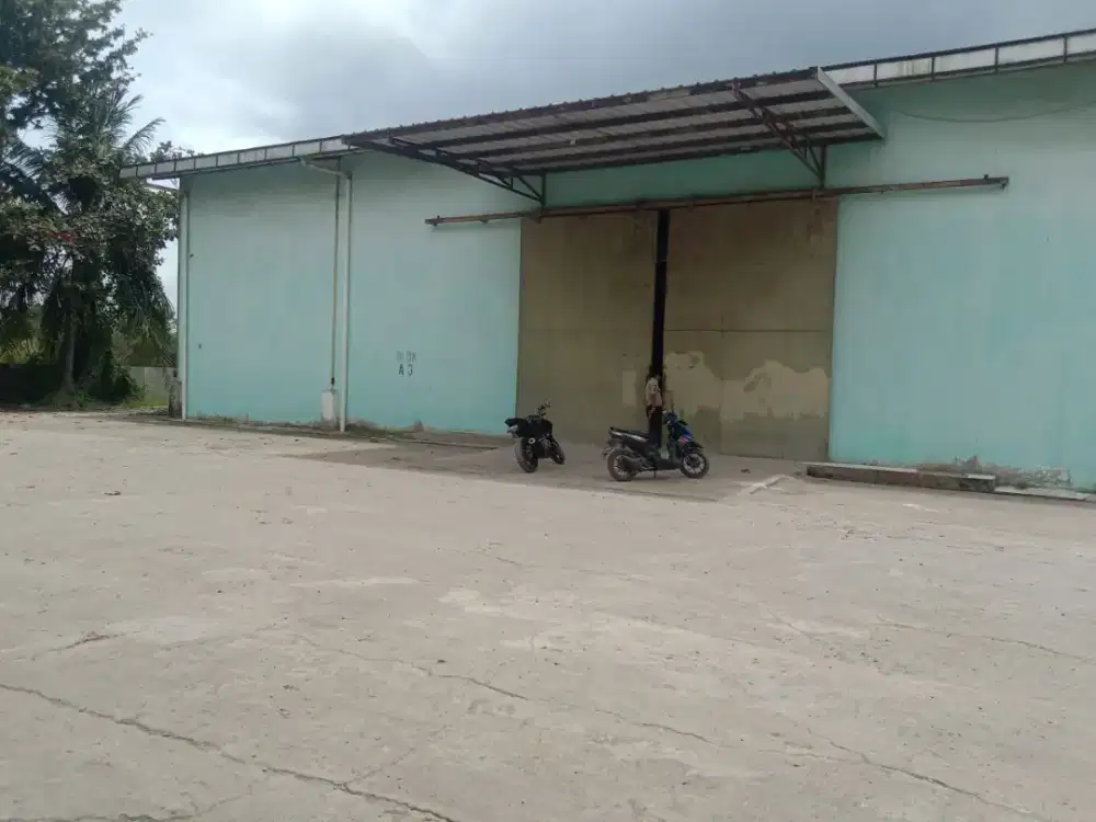 Disewakan gdg tanjung barangan plg