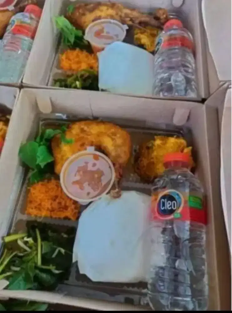 Nasi Box Plus Air Mineral Botol Termurah