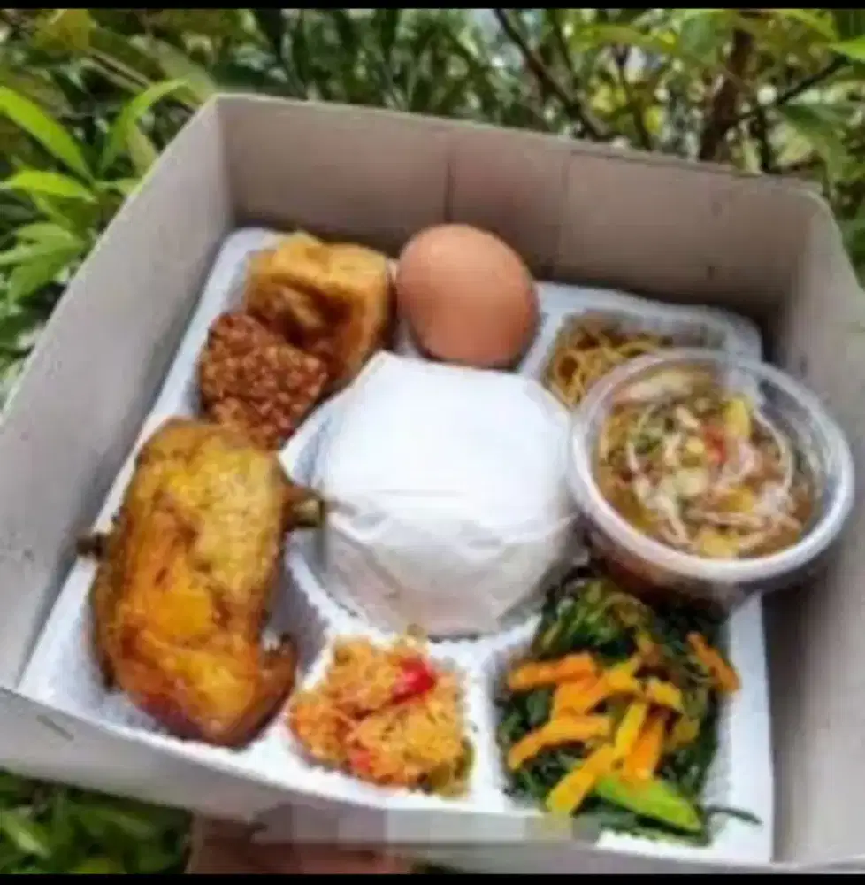 Nasi Box Syukuran Kehamilan Termurah