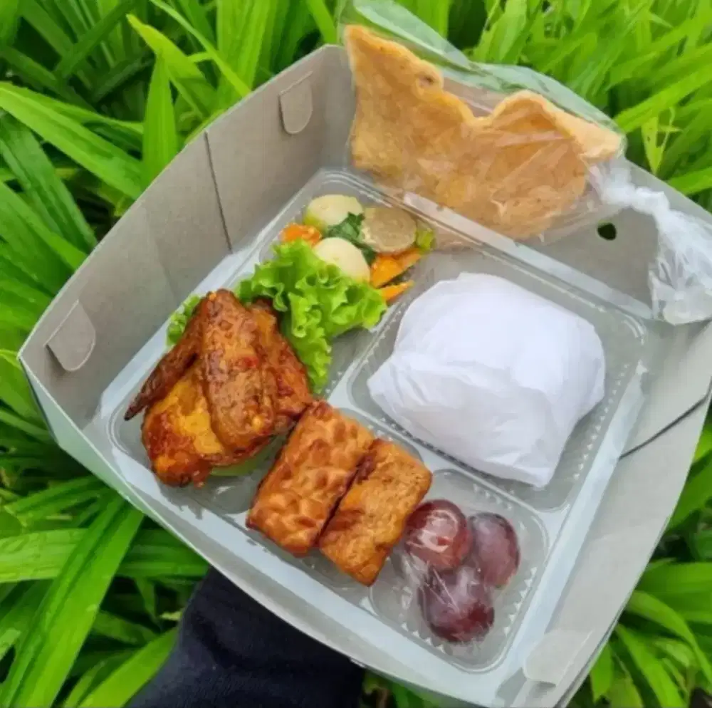 Nasi Box Paket Isi 3 Menu Lengkap Buah Kerupuk