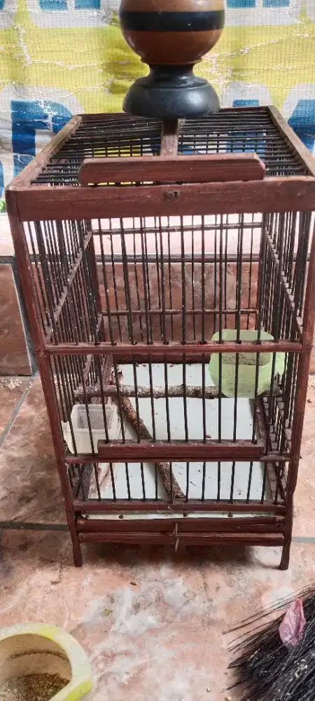 Sangkar burung kecil lebar 15cm tinggi 20 cm