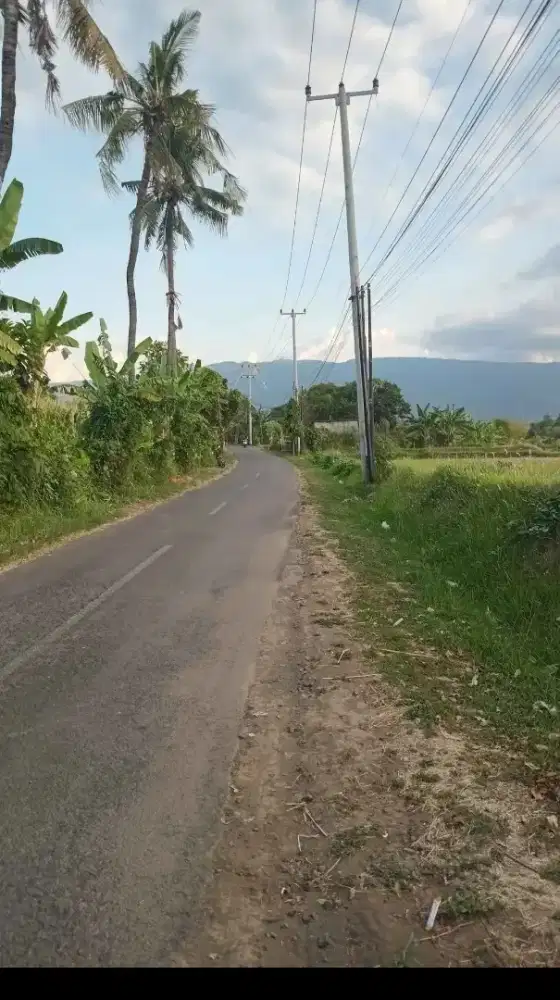 13,88 are Tanah pinggir jalan utama desa pemaron