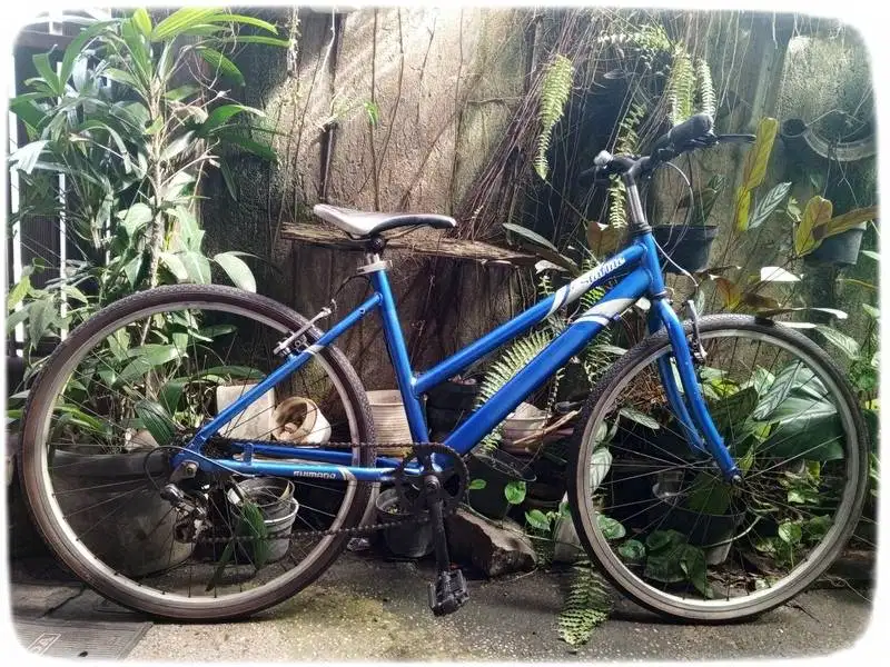 Sepeda MTB Alloy 26 shimano part