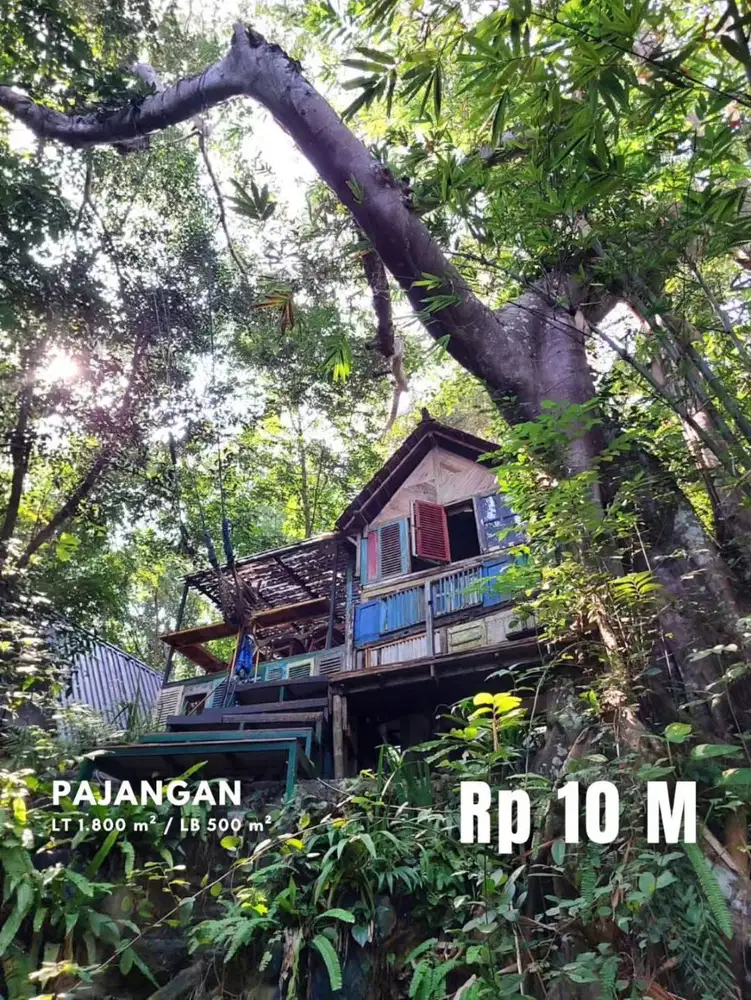 Dijual Villa dan Resto Artistik dan Natural di Pajangan