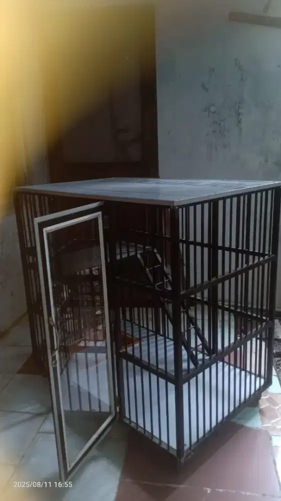 Jual kandang kucing