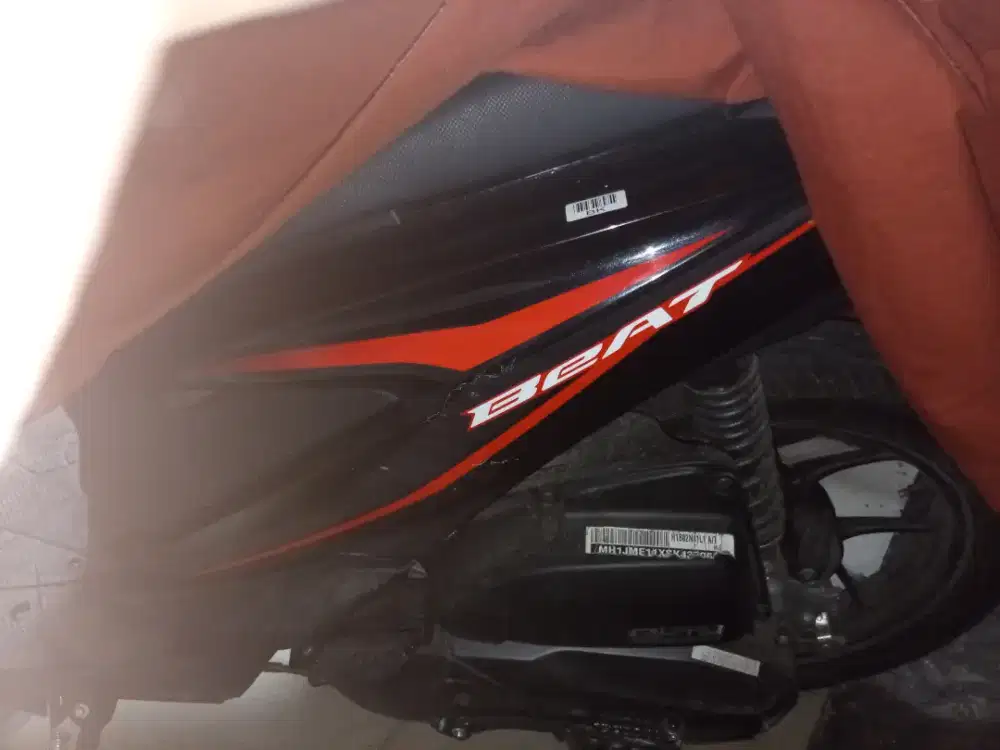 Motor mulus no minus tahun 2025