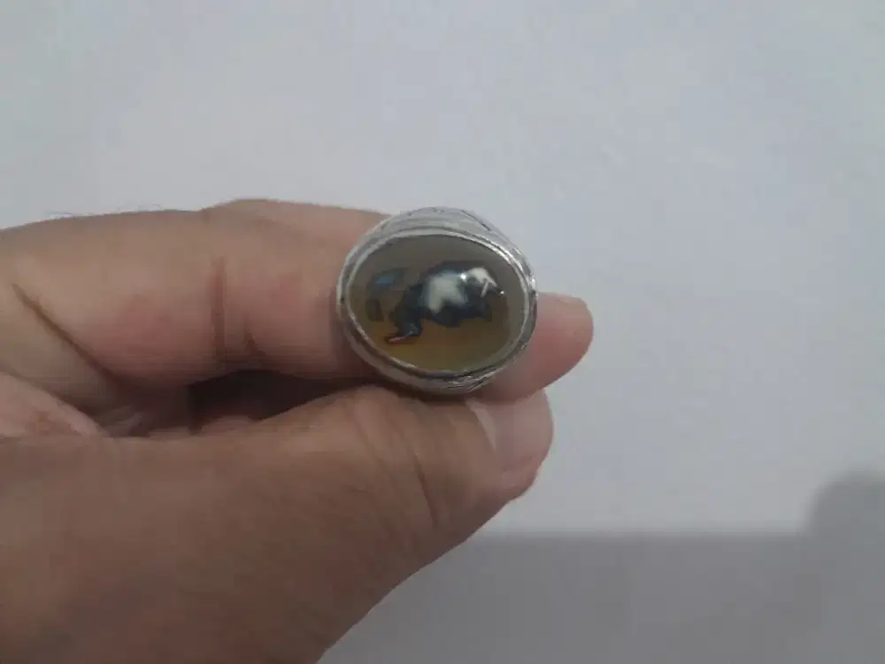 Akik gambar luwak collector item koleksi antik