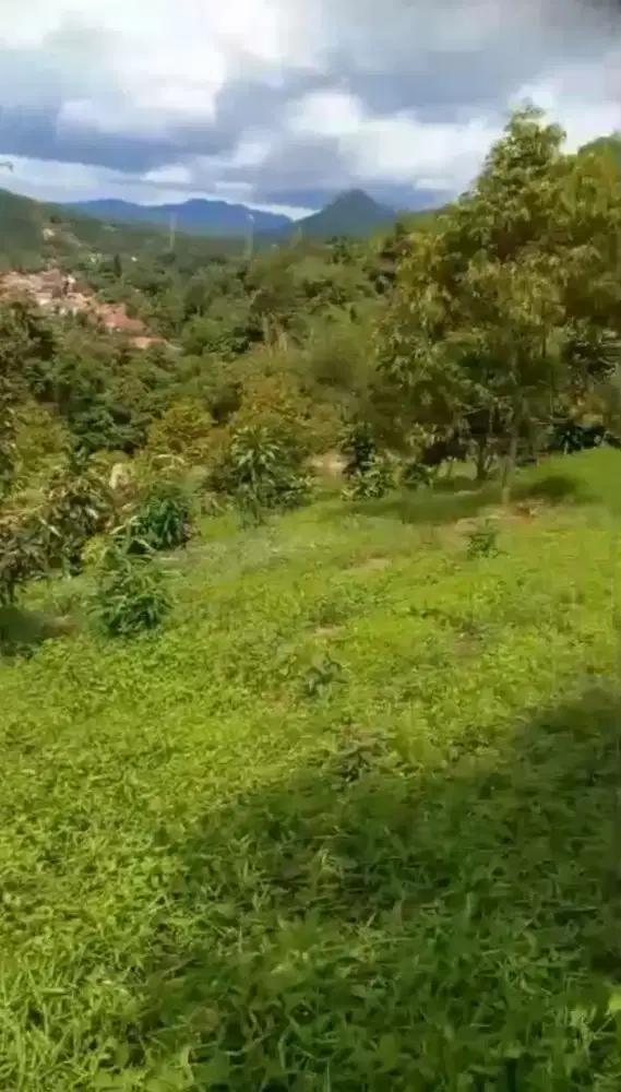 Lokasi kebun duren View gunung Di bogor jasinga