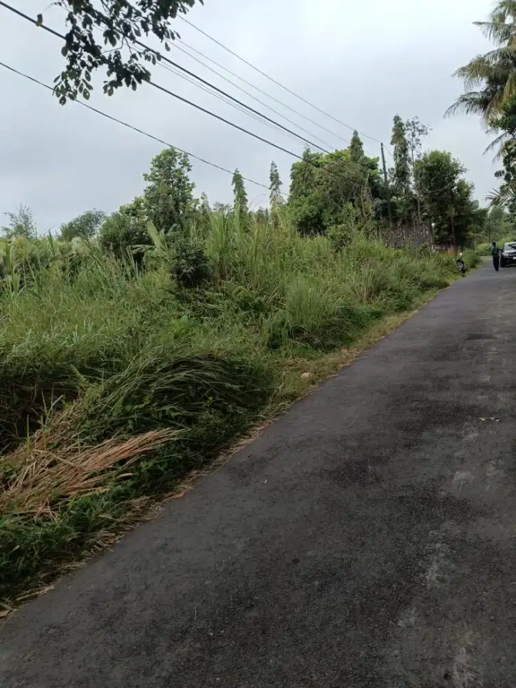 Sewa tanah murah jl palagan km 13 maron Donoharjo Ngaglik