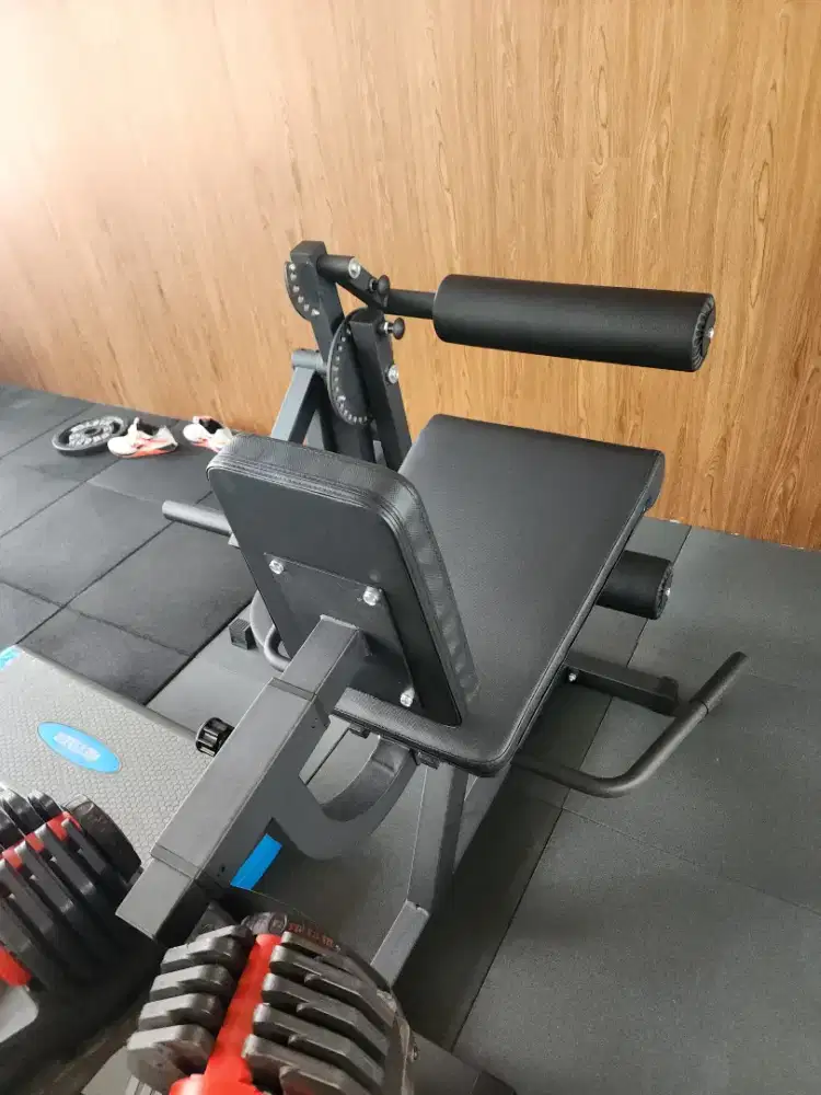 Strengthbae gym fitness leg extension dan curl