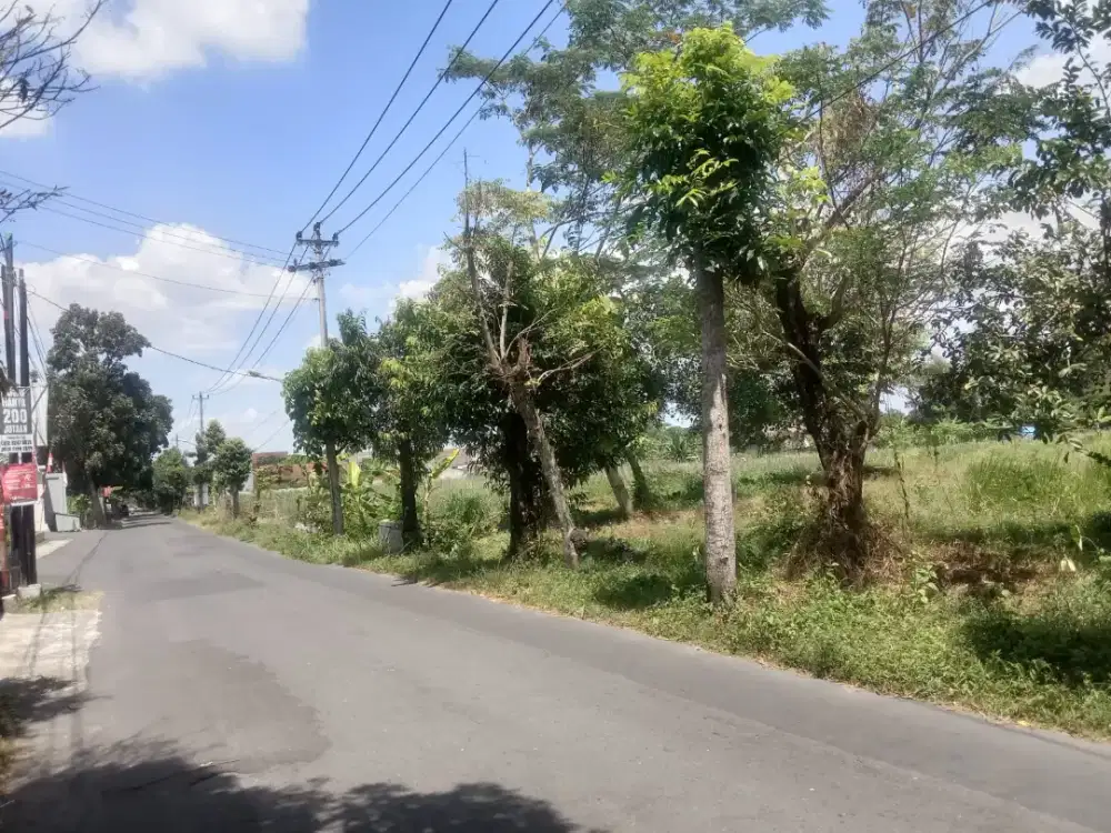 Disewakan tanah istimewa strategis jl Kaliurang km 10 Ngaglik