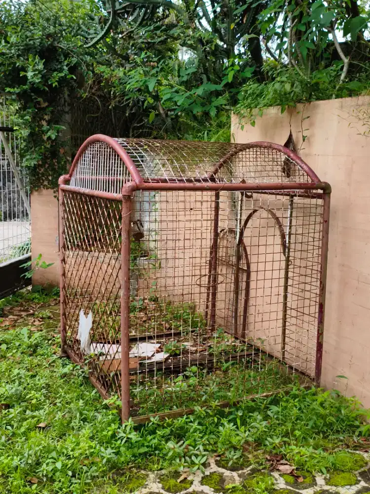 Mau jual kandang besi kokoh ukuran besar bekas 2 ekor husky