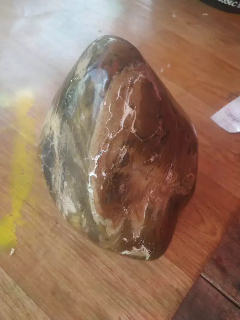 Fossil kayu langkah dingin
