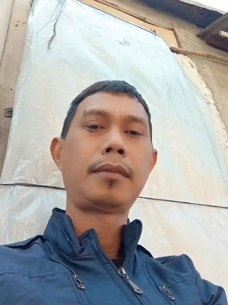 untuk mengurus kucing,bersih bersih rumah..dn lainnya.