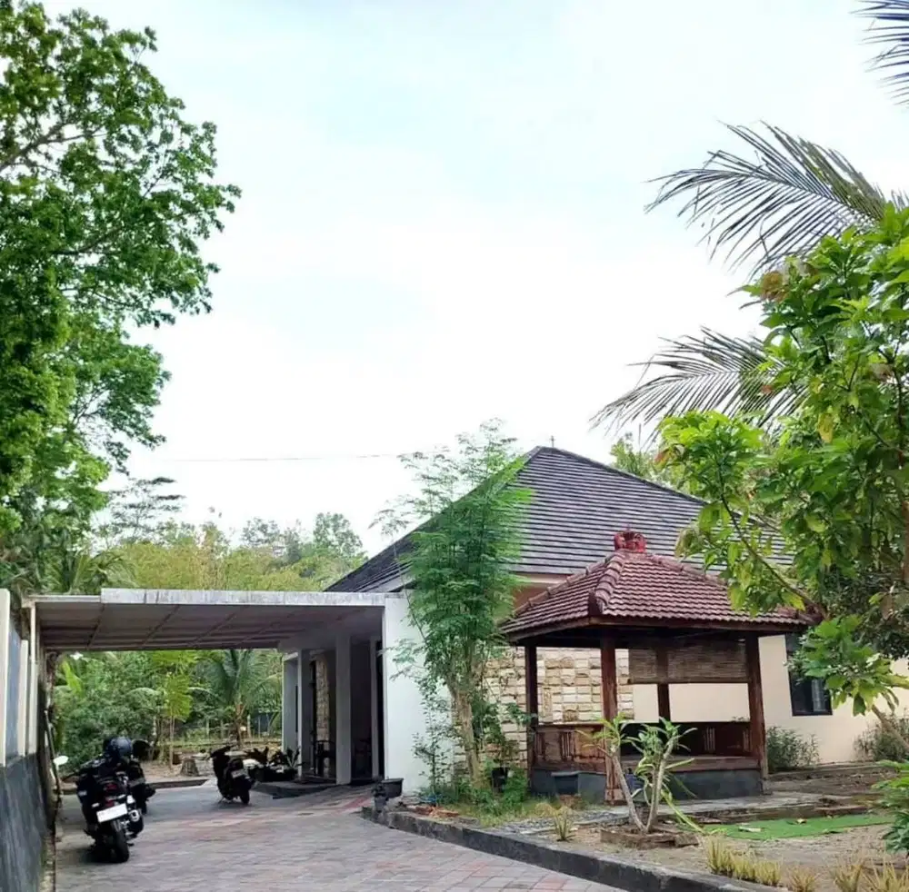 Dijual Rumah Asri dengan Halaman Luas di Sedayu