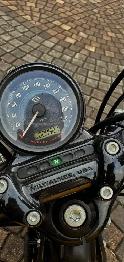 Harley davidson Sportster Special 48 XL1200 2019