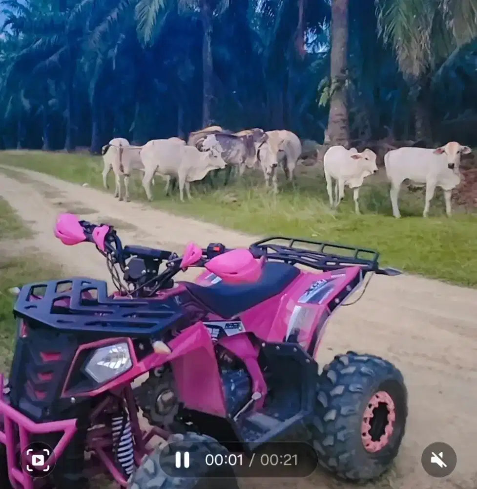 Atv commander dan atv lenka