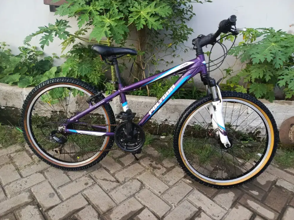 Sepeda MTB Polygon Relic