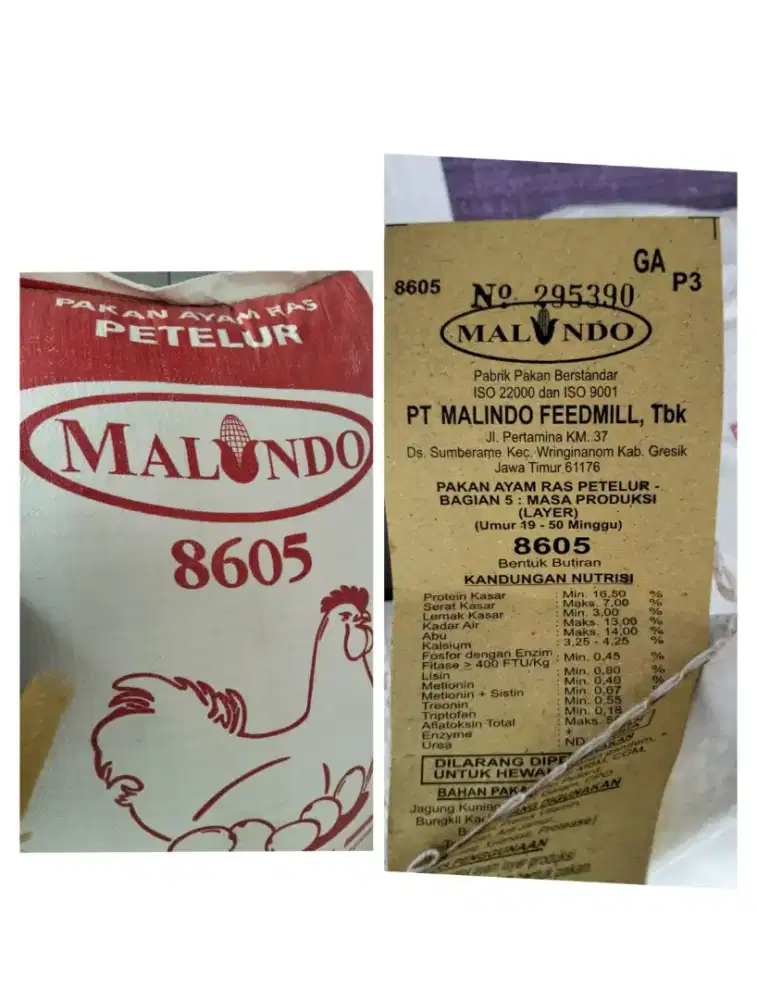 Pakan ayam.petelur malindo