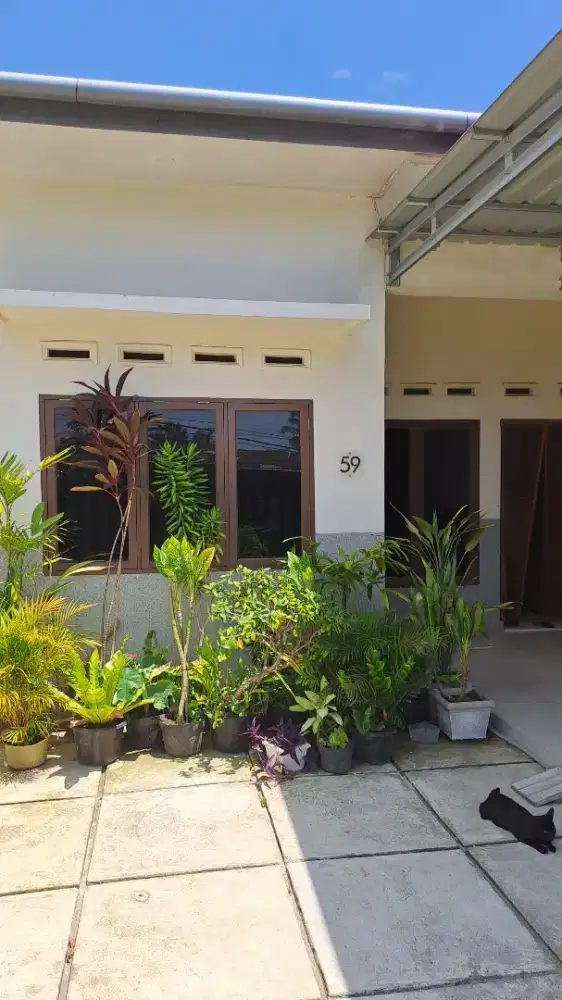 Rumah Minimalis Murah di Polonia Medan