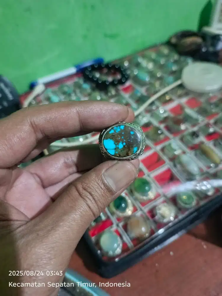 Pirus persia ceplok urat merah emas