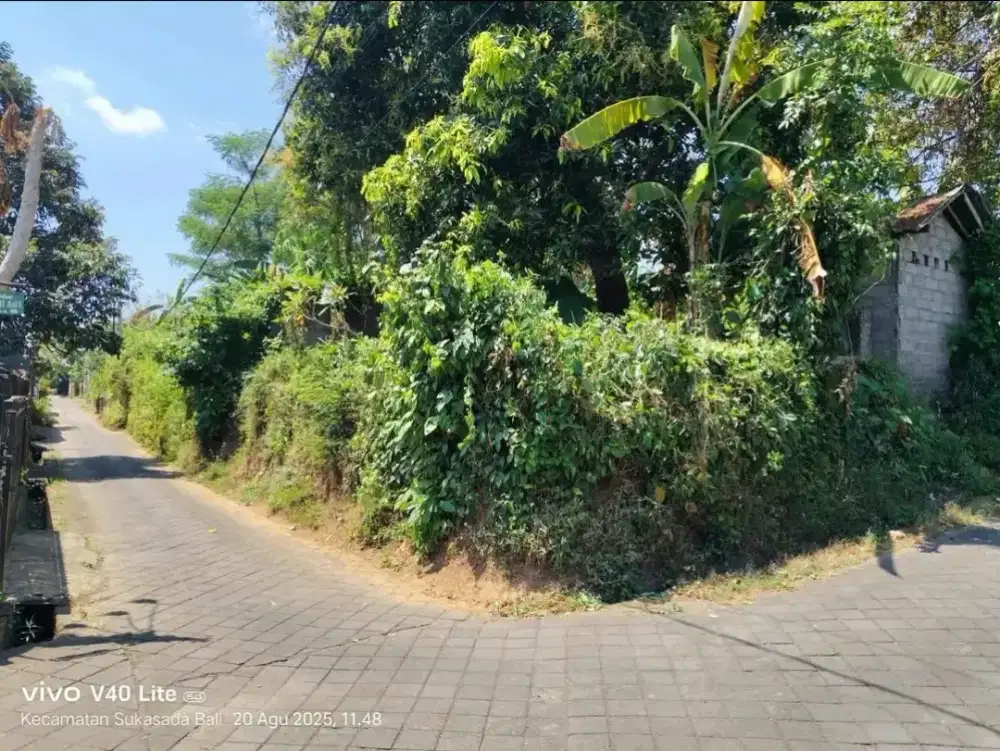 10,2 are Tanah area perumahan di desa panji singaraja dusun bangah