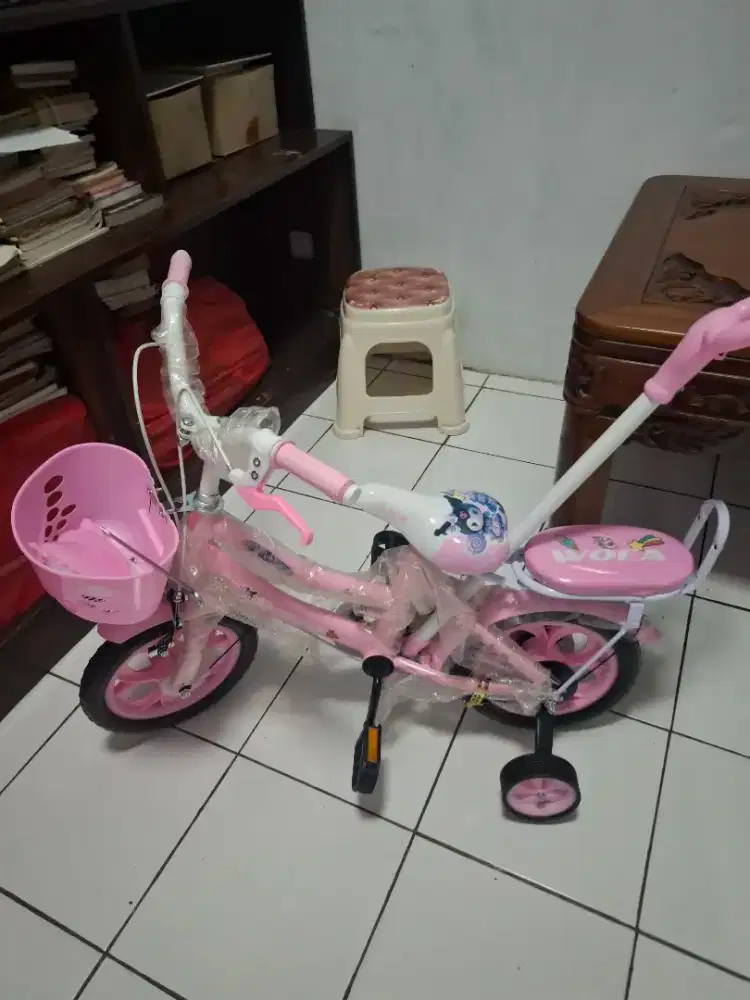 SEPEDA RODA 2 warna pink