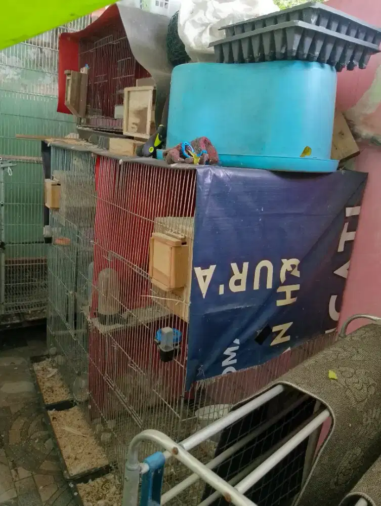 Kandang burung ayam kucing kelinci galvanins