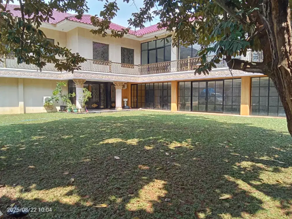 Pasang Rumput Gajah Mini Hijau Aman Paling Laris Dan Banyak Diminati