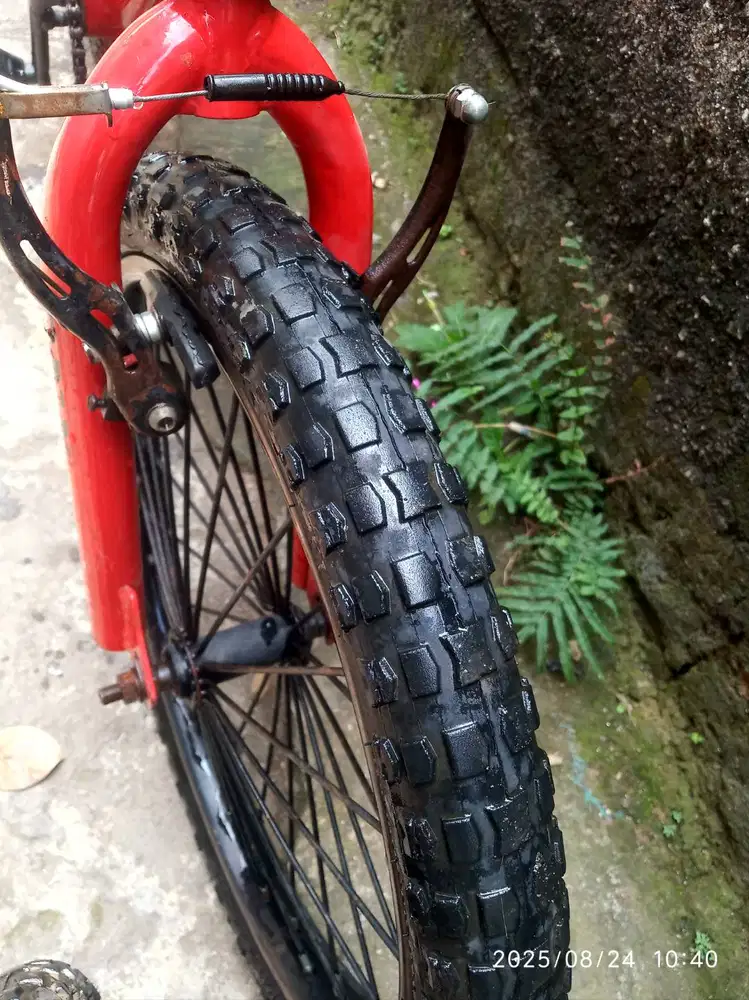 BMX senator fight 20