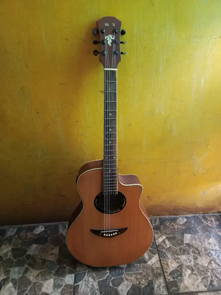 gitar akustik elektrik apx500 normal