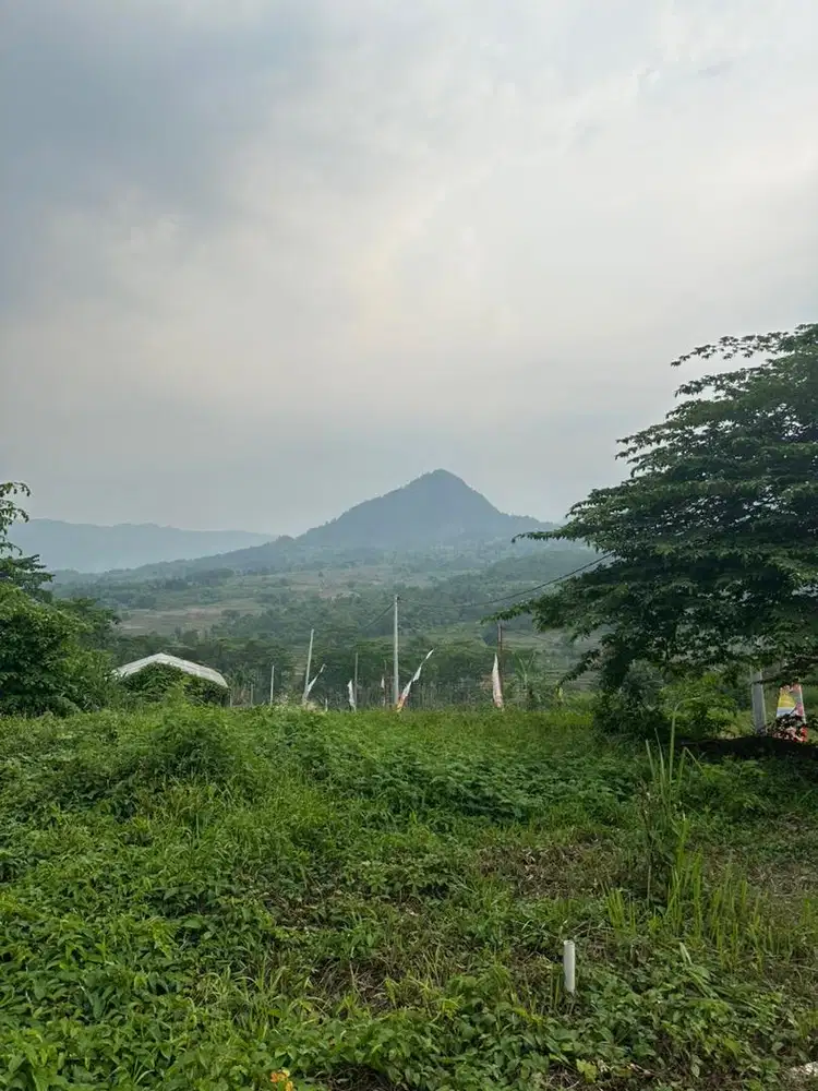 Disewakan kavling puncak 2 bogor (coffee shop, wahana bermain, villa)