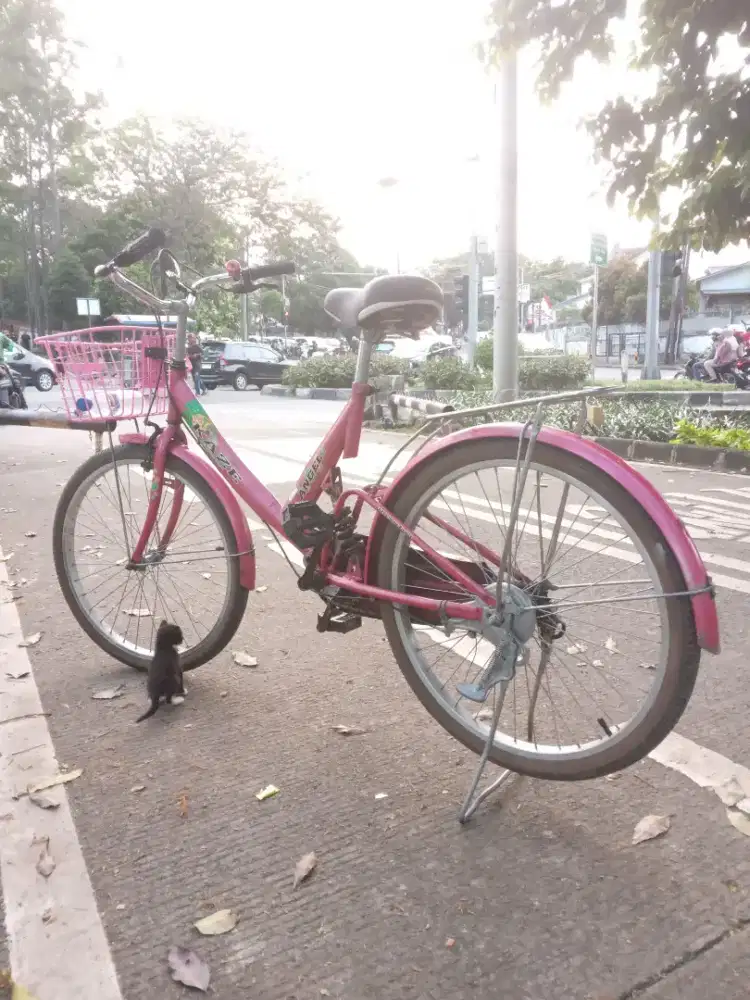 Thailand City Bike Kaze made in Thailand