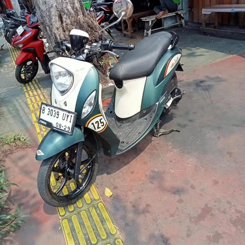 Fino Wrn Army 2018