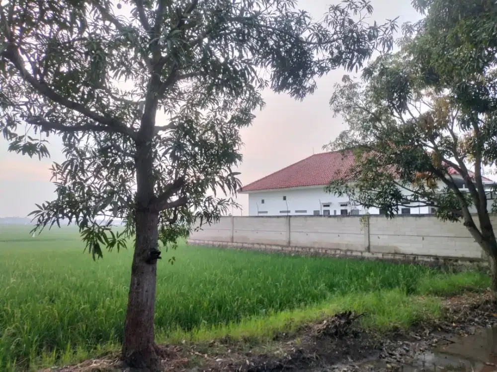 Jual Tanah Untuk Ruko - Gudang