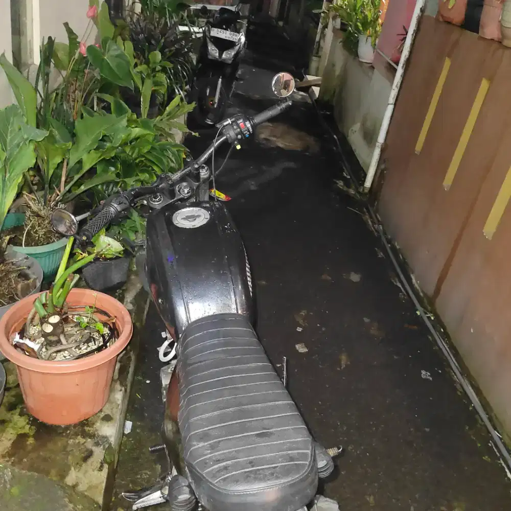 Byson motor custom 2014