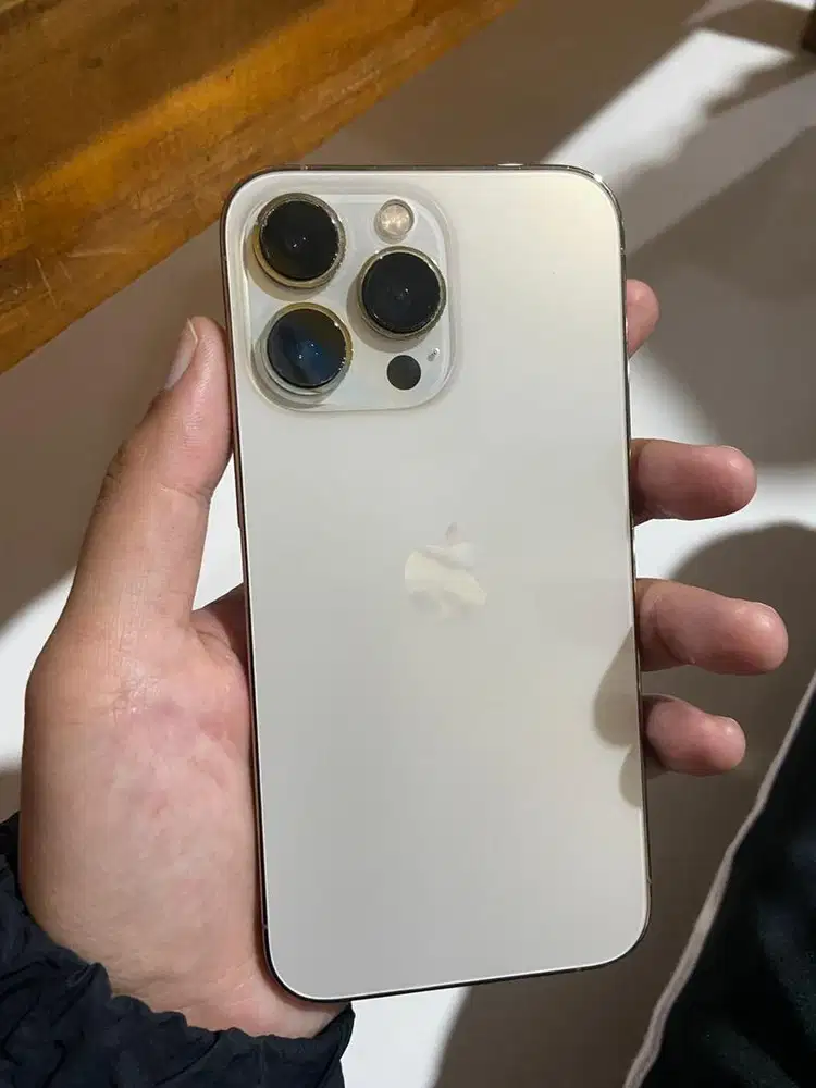 13 pro 256GB inter fullset original