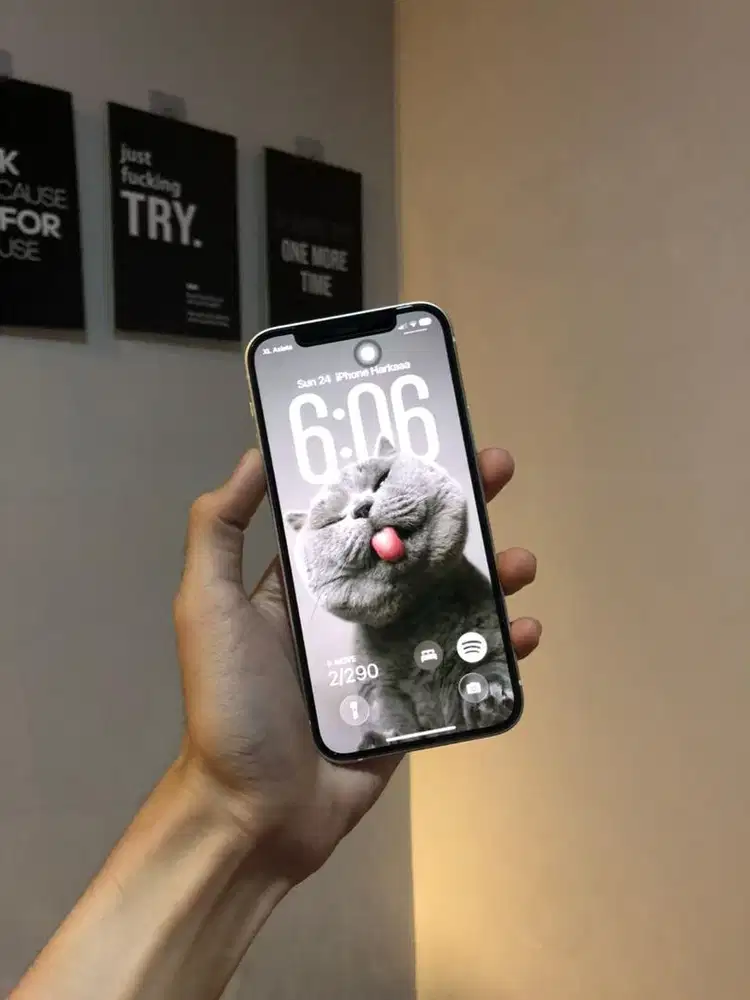 iPhone 12 256gb white