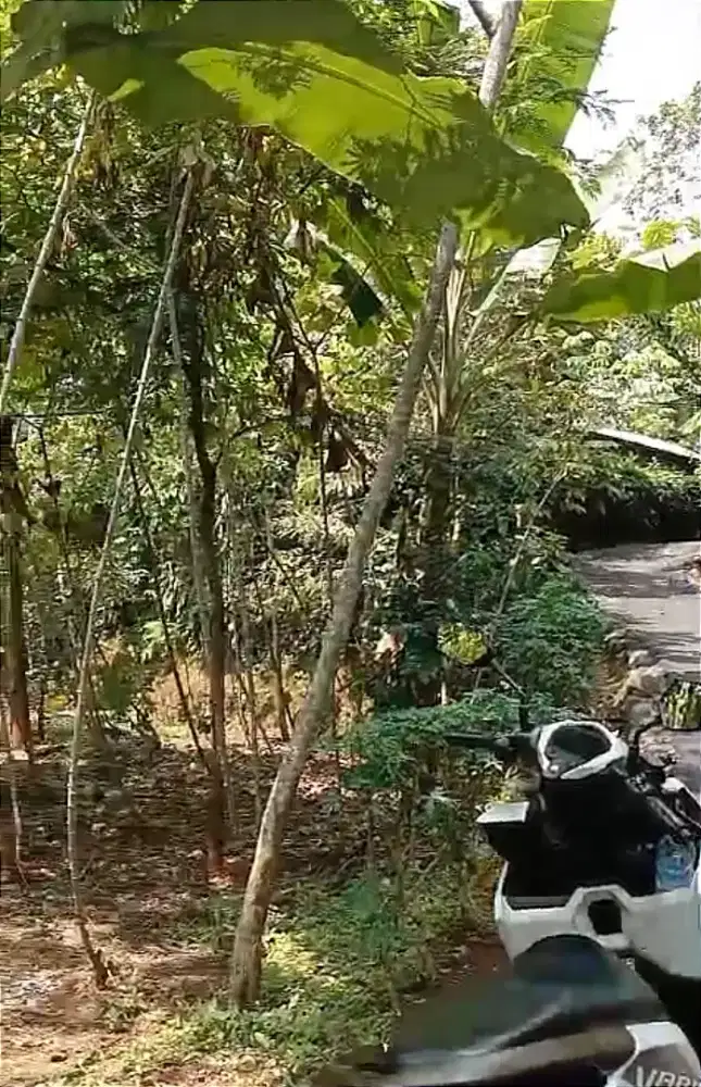 DIJUAL TANAH DI KELAPA NUNGGAL SUKABUMI