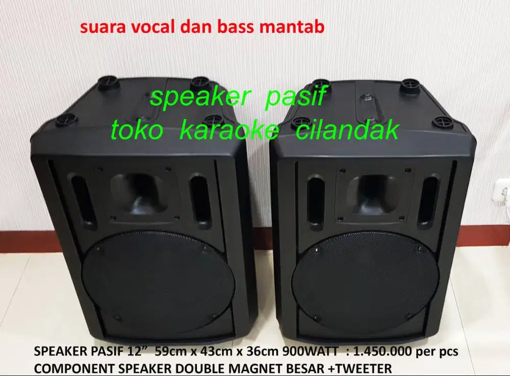 speaker pasif 12in sepasang