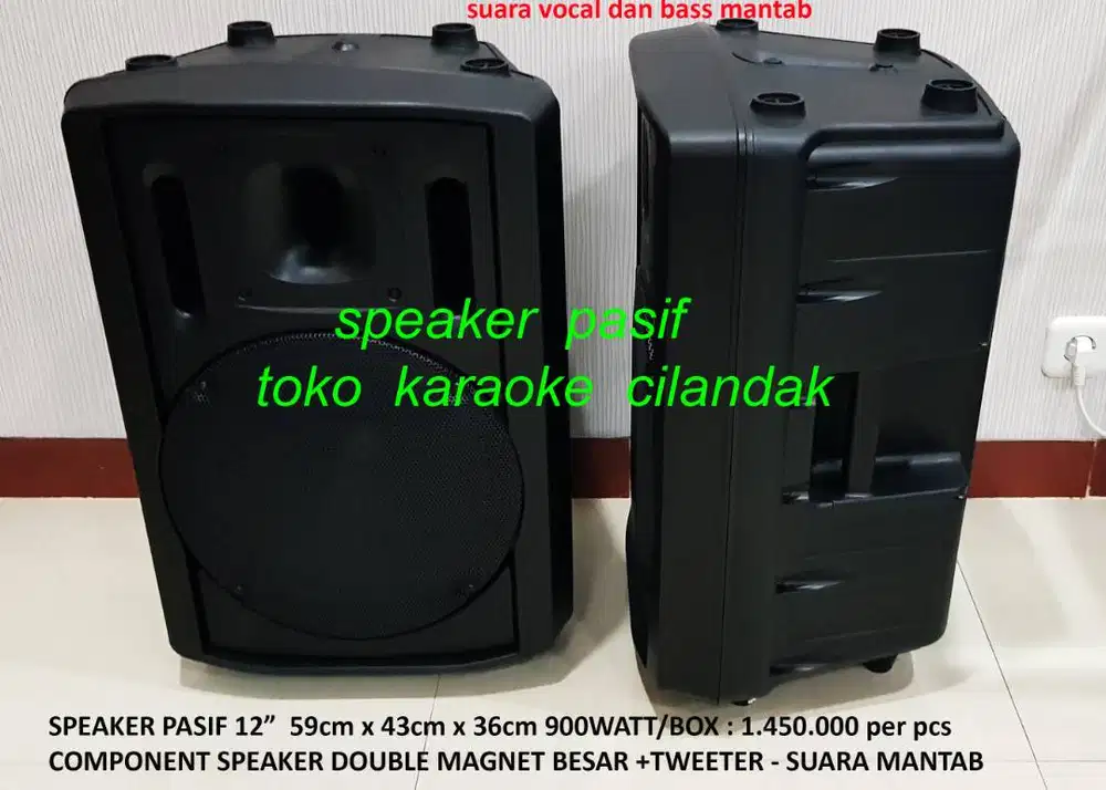speaker pasif 12in